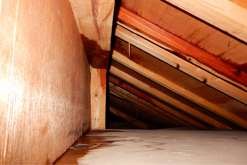 浸水被害の状況に応じた水害復旧作業