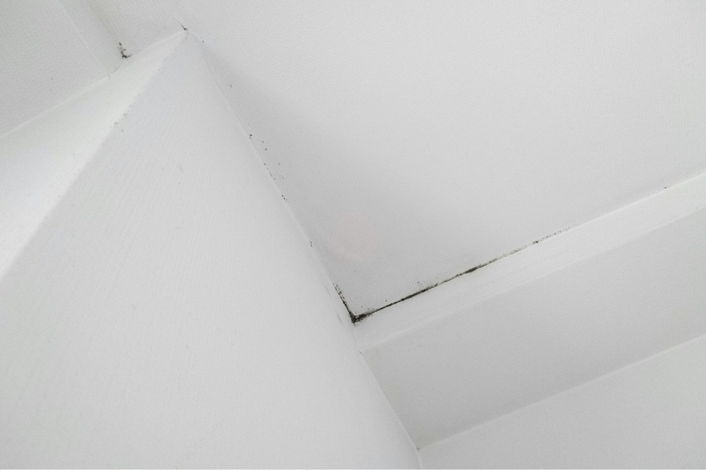 床下・壁内部の乾燥とカビ対策