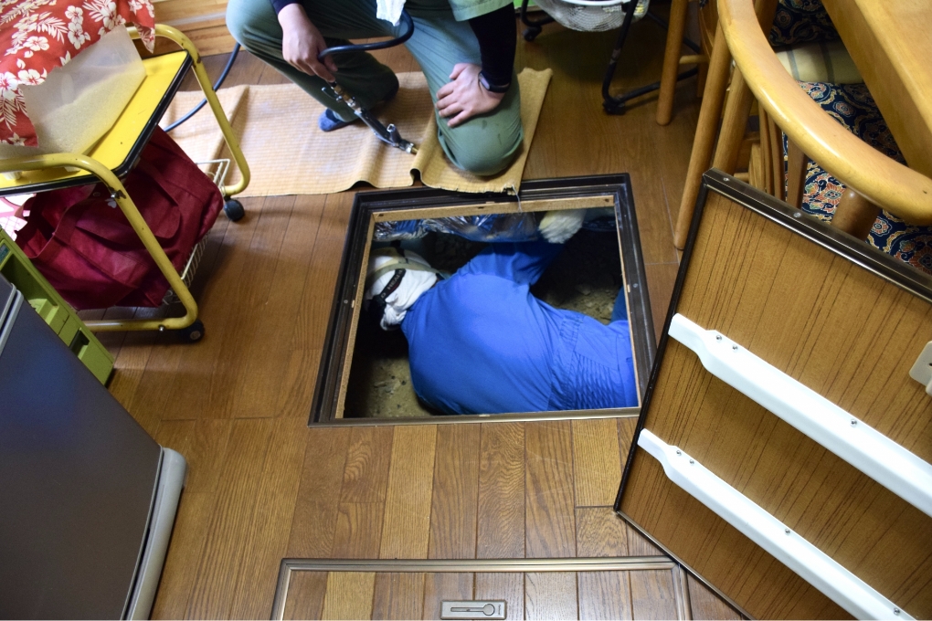 害虫発生箇所の清掃と衛生環境の改善