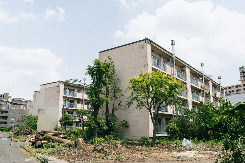 電線や建物に近い樹木の対応