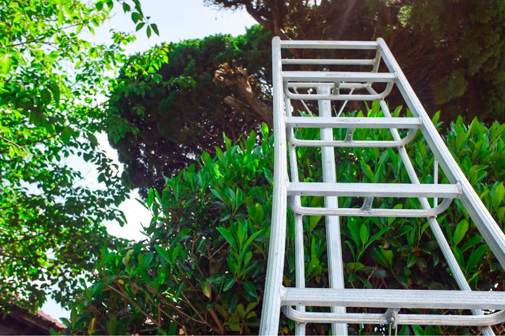 住まいの景観と安全性を保つ庭木の手入れ