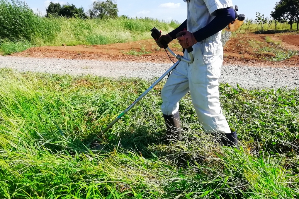 敷地の状況に応じて行う草刈り作業