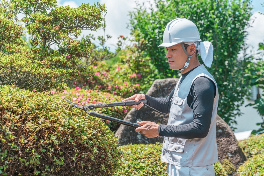 高木の剪定・伐採作業への対応