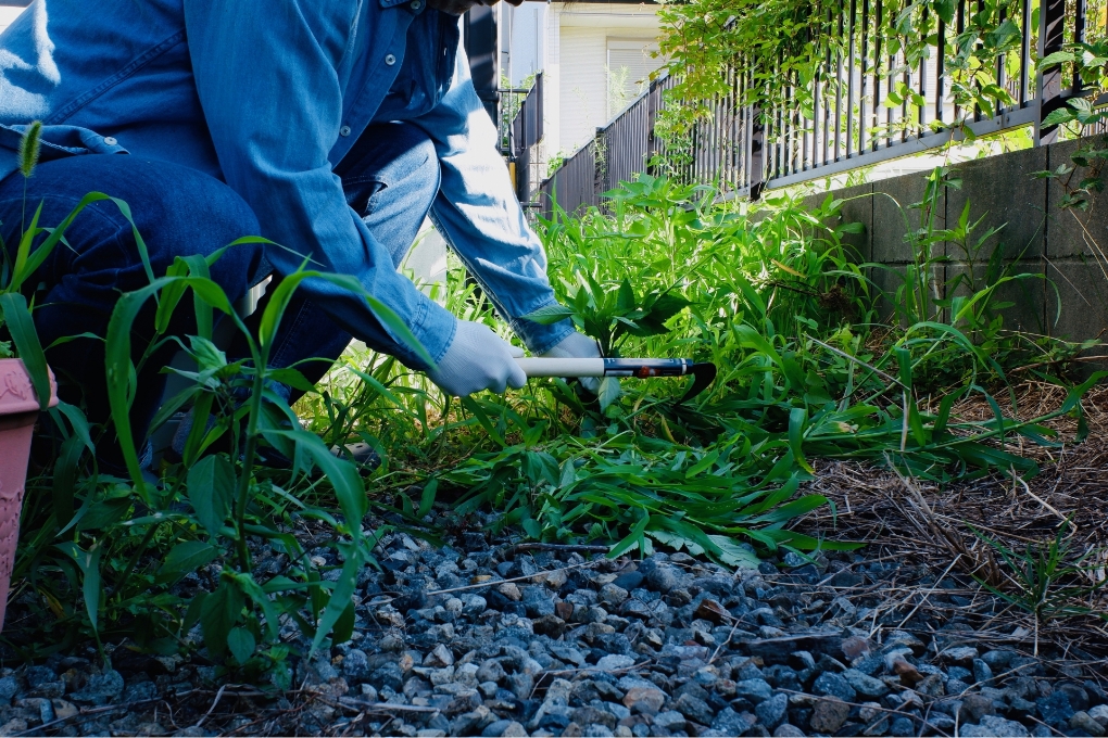 草刈り・庭木剪定による外回り整備
